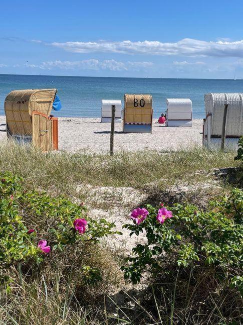 Fewo-Mit-Terasse-U-Garten-Am-Golfplatz Wulfen auf Fehmarn Экстерьер фото